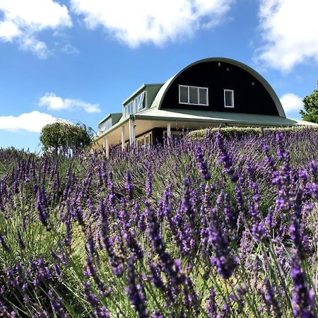 Bed and Breakfast Lavender Hill Riverhead Exterior foto