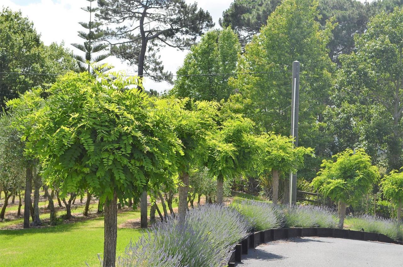 Bed and Breakfast Lavender Hill Riverhead Exterior foto